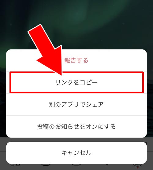web版で動画を再生する|インスタの動画を一時停止したい!動画をタップして止める方法を解説します