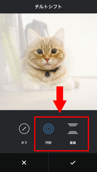 写真の周りをぼかすテクニック加工