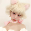 モデルの中村里砂、猫コスプレで「顔小さい」「おにんぎょう...