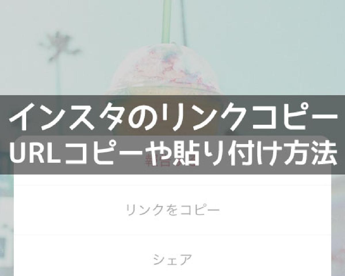 保存 つい ランキング 動画
