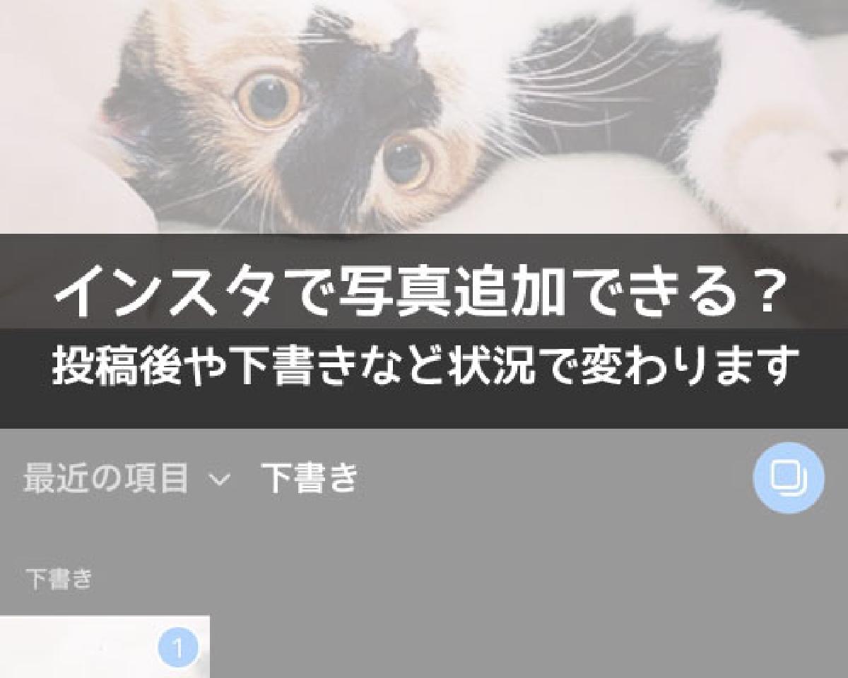 追加写真