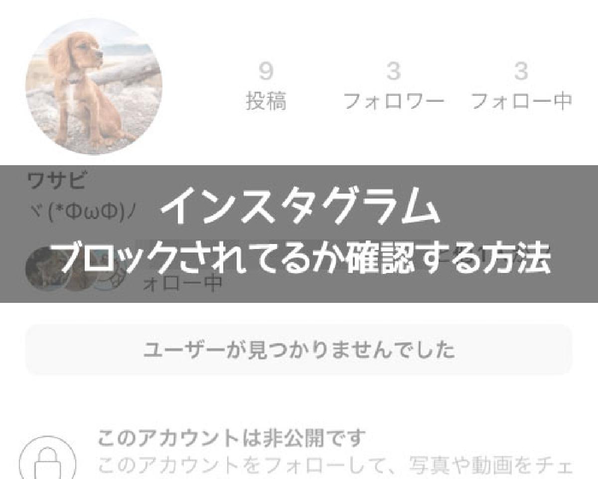 インスタでブロックされてるか確認する方法！鍵垢でも同じ方法で確認できます｜インスタグラム使い方