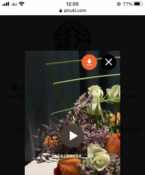 ログインなしでストーリーも見れる|Picuki(ピクキ)の使い方!インスタにログインなしでストーリーも見れます